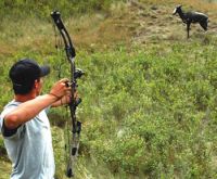 bow-tourney.jpg Image