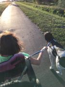 walk.jpg Image